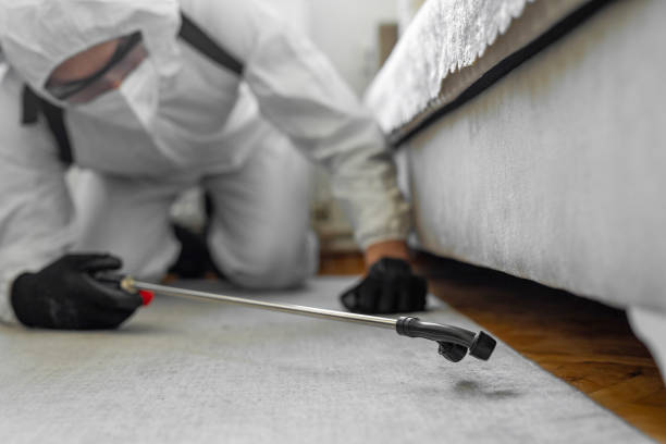 Professional Ant Control technician working in Suffolk County County, NY